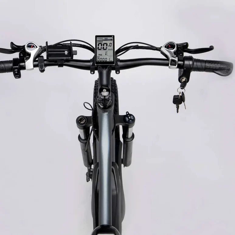 Ridstar E Bike E26 1000W 48V 20AH Battery - Image 4