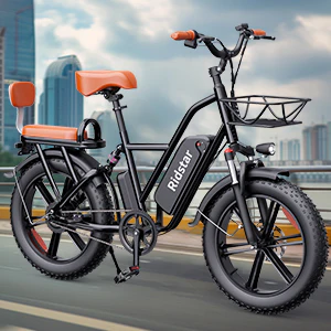 Ridstar FM001 48V 15AH 2-Seat Fat Tire Electric Bike - Image 6