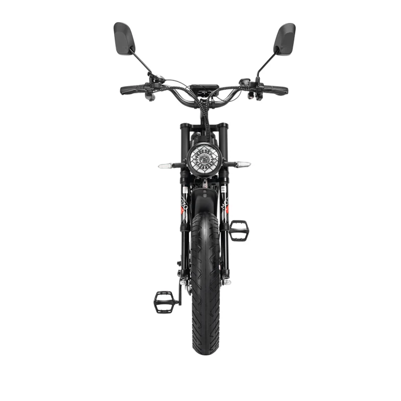 Ridstar Q20Pro 2000W Fat Tire Electric Bicycle - Image 11