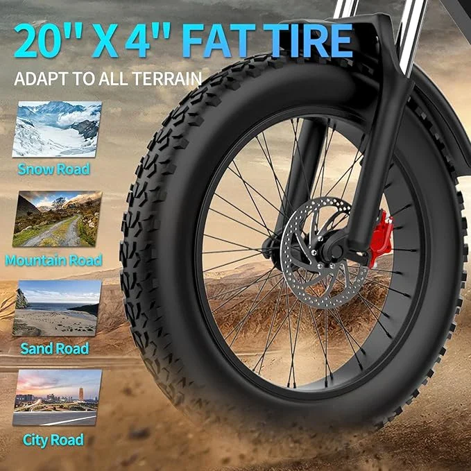 Ridstar Q20Pro 2000W Fat Tire Electric Bicycle - Image 5